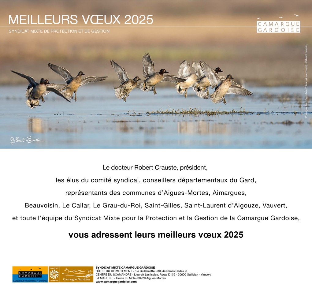 VOEUX 2025